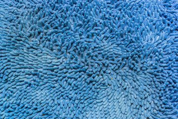 Wool texture