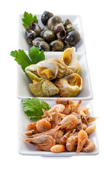 Sea shells with herbs.