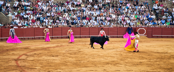 Corrida toreros at the Real Maestranza de Caballeria in Seville, - 51508396