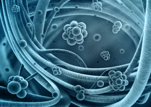 Bacteria concept 3d illustration