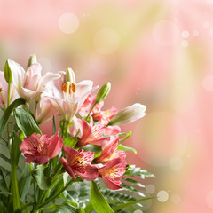 Bouquet of beautiful pink flowers with bokeh and copy space