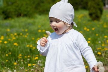 Little girl blowing on a white dandelion