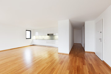 Fototapeta na wymiar interior modern empty flat, kitchen
