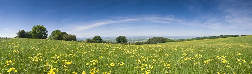 Boterbloem veld, landelijk landschap. © travelwitness