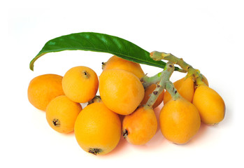 Loquat Fruits