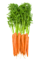 Bunch of  fresh raw carrots with green tops isolated