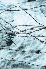 Barbed wire