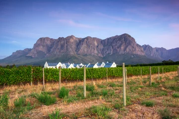Küchenrückwand glas motiv Stellenbosch, the heart of the wine growing region in South Afri © jon11