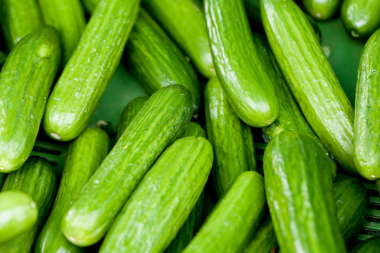 Frische gr&uuml;ne Gurken Salatgurken liegen in einer Auslage