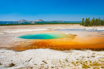 Green Opal Pool in Yellowstone National Park USA