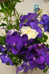 Bouquet of orchid in a vase