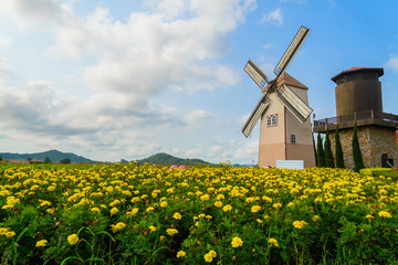 Wind Turbine