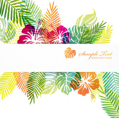 hibiscuses and monstera background