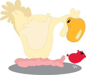 Chicken
