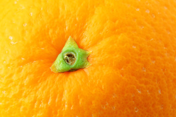 orange peel close up