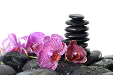Fototapeta na wymiar Stack black stones in balance with branch pink orchid
