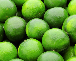 lime citrus fruit