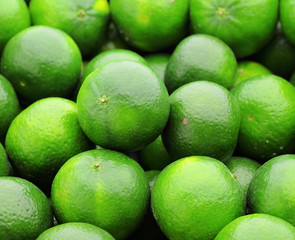 lime citrus fruit