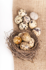 Obraz premium Nest with quail eggs on a canvas on a white background