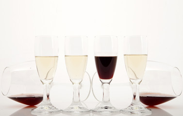 Degustazione dei vino bianco e rosso
