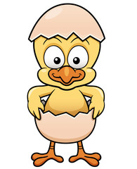 Vector illustration of Chick in Egg