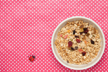 fruits granola