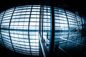 motion passengers