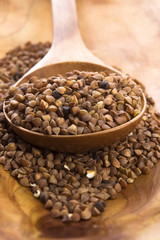 Buckwheat seeds on wooden spoon in closeup