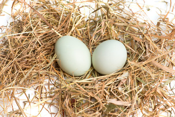 Hühnereier im Stroh