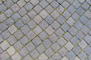 Obraz premium Sanpietrini, typical Rome pavement, Italy