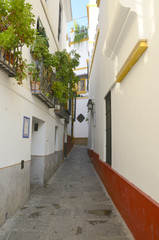 Fototapeta premium Narrow street in the historical center of Seville, Spain