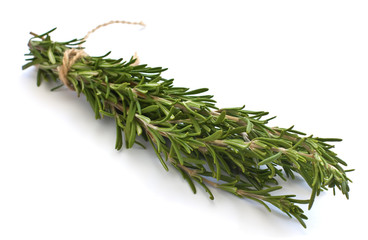 Fresh organic rosemary isolated on white