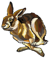 Naklejka premium running hare