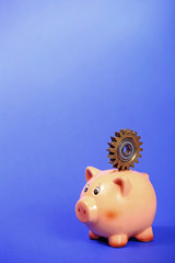 Pig bank holding gear on the back