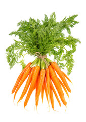 fresh carrots with green leaves isolated on white