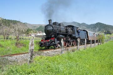 Steam train in the  countryside