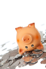 Piggy bank on pile of coins