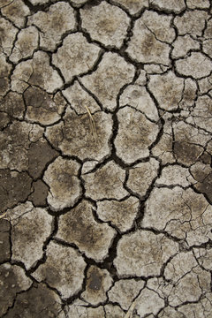 Textura de suelo de arcilla seco, reseco, con grietas, fondo.