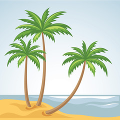 Three palm trees in vector