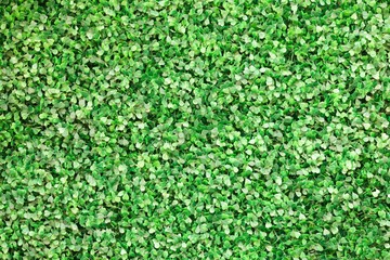 Plastic leaves background