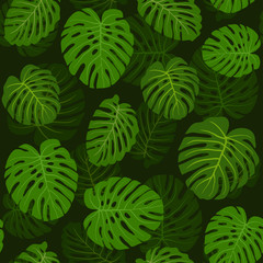 Fototapeta na wymiar Pattern leafs green