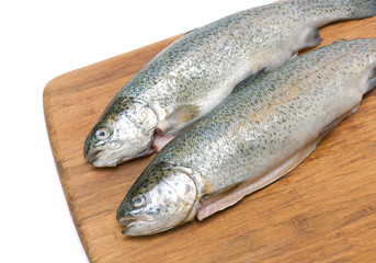 raw fish trout on a cutting board close up.