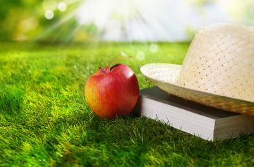 Sunhat, book and fresh apple