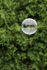 soap bubble outdoor