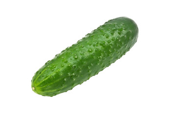 Cucumber