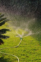 Garden sprinkler on lawn, Spain © Arena Photo UK
