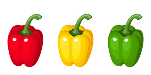Set of three bell peppers. Vector illustration.