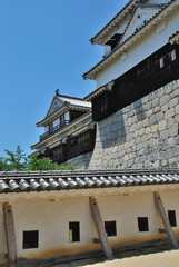 Fototapeta na wymiar Château de Matsuyama, Shikoku, Japon