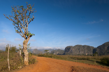 Red earth road and cuban mogotes, Vinales, Cuba