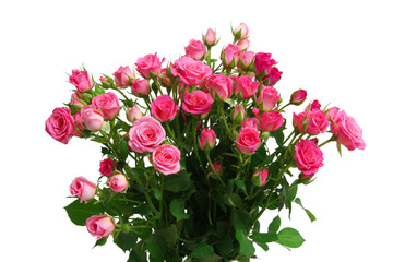 bouquet of pink roses